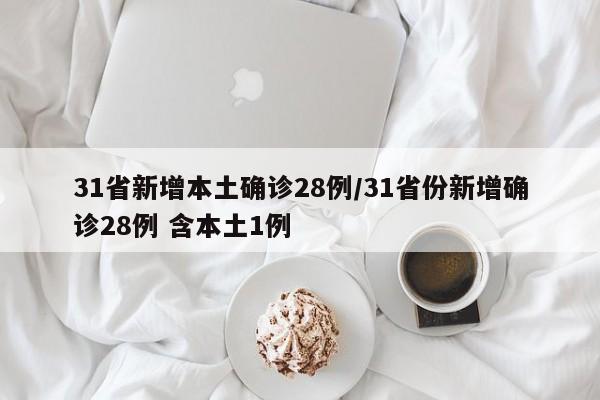 31省新增本土确诊28例/31省份新增确诊28例 含本土1例